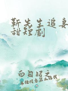 靳先生追妻有点甜短剧