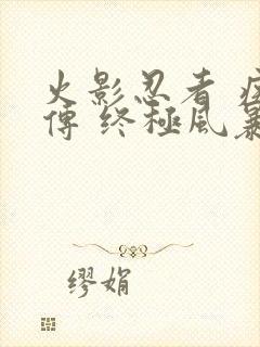 火影忍者 疾风传 终极风暴4