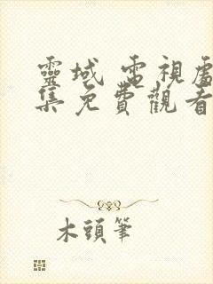 灵域 电视剧全集免费观看