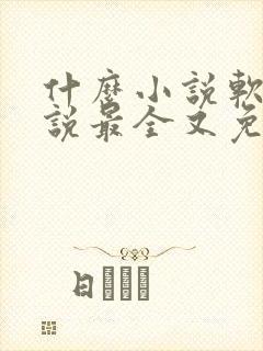 什么小说软件小说最全又免费没广告