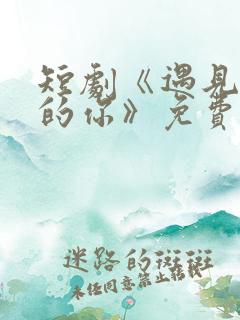 短剧《遇见正确的你》免费观看全集