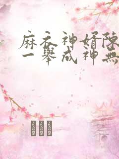 麻衣神婿陈黄皮一举成神无弹窗