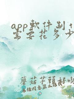 app软件制作需要花多少钱