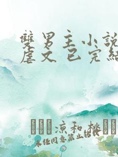 双男主小说推文虐文 已完结