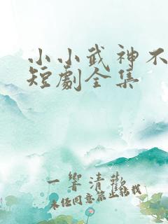 小小武神不好惹短剧全集