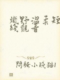 炽野温柔短剧在线观看