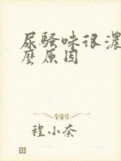 尿骚味很浓是什么原因