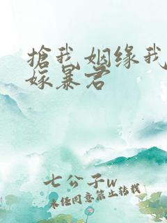 抢我姻缘我转身嫁暴君