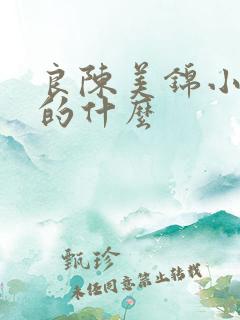 良陈美锦小说讲的什么