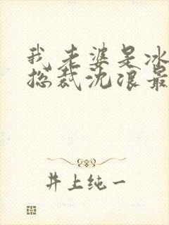 我老婆是冰山女总裁沈浪最新