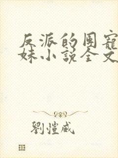 反派的团宠小师妹小说全文免费阅读