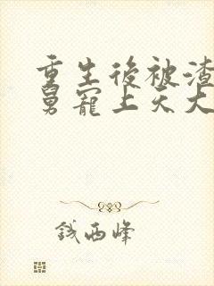 重生后被渣男舅舅宠上天大结局