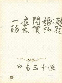 一夜闪婚:顾少的天价私宠