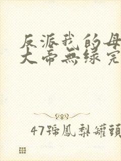 反派我的母亲是大帝无绿完整