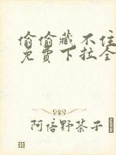 偷偷藏不住漫画免费下拉全集