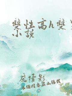 双性高h双男主小说