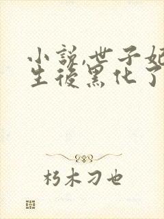 小说,世子妃重生后黑化了