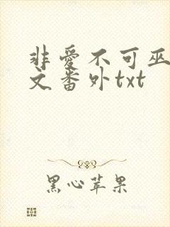 非爱不可巫哲全文番外txt