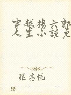 穿越杨六郎猎艳人生小说免费阅读