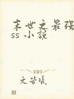 末世之最强boss 小说