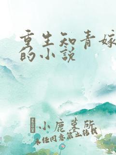 重生知青嫁糙汉的小说