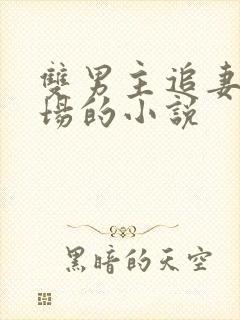 双男主追妻火葬场的小说