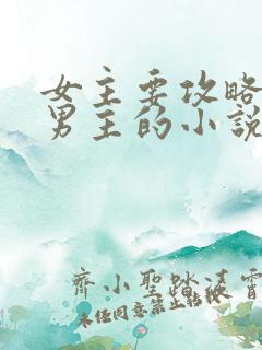 女主要攻略多个男主的小说