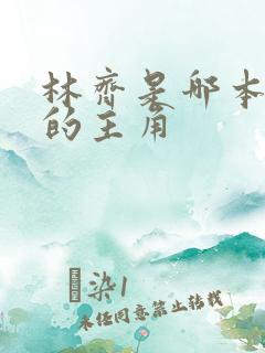 林齐是哪本小说的主角