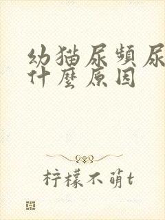 幼猫尿频尿少是什么原因