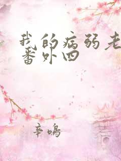 我的病弱老婆 番外四