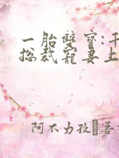 一胎双宝:千亿总裁宠妻上瘾