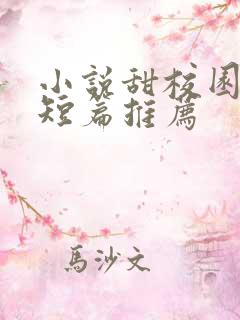 小说甜校园言情短篇推荐