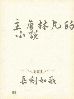 主角林凡的小说 小说