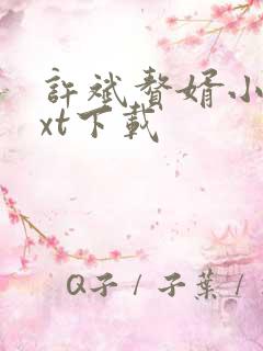 许斌赘婿小说txt下载