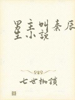 男主叫秦辰的重生小说