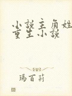 小说主角姓洛的重生小说