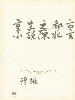 重生之都市修仙小说陈北玄