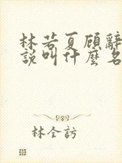 林若夏顾辞舟小说叫什么名字