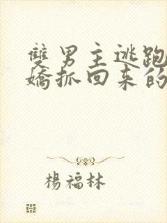 双男主逃跑被病娇抓回来的小说