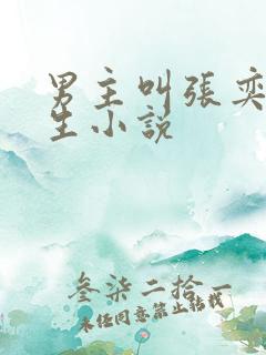 男主叫张奕的重生小说