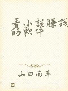 看小说赚钱最快的软件