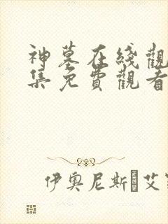 神墓在线观看全集免费观看电视剧