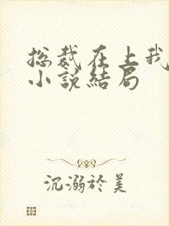 总裁在上我在下小说结局