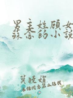 男主姓顾女主叫苏念的小说