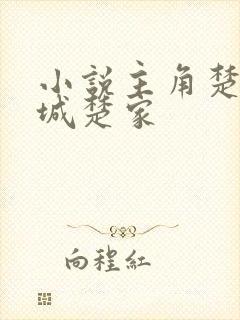 小说主角楚风京城楚家