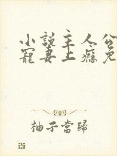 小说主人公叔他宠妻上瘾免费阅读