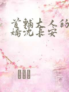 首辅大人的掌心娇沈长安