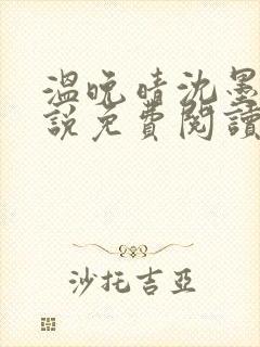 温晚晴沈墨川小说免费阅读最新章节