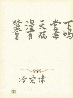 禁漫天堂下载后会有病毒吗