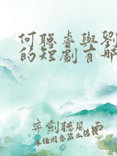 何聪睿与刘念演的短剧有哪些